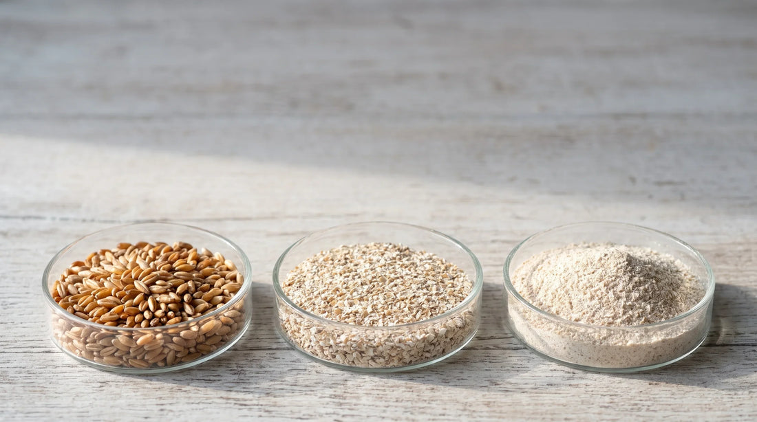 Whole rye grain, rye bran and milled bran in glass dishes for comparison